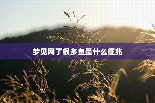 梦见网了很多鱼是什么征兆