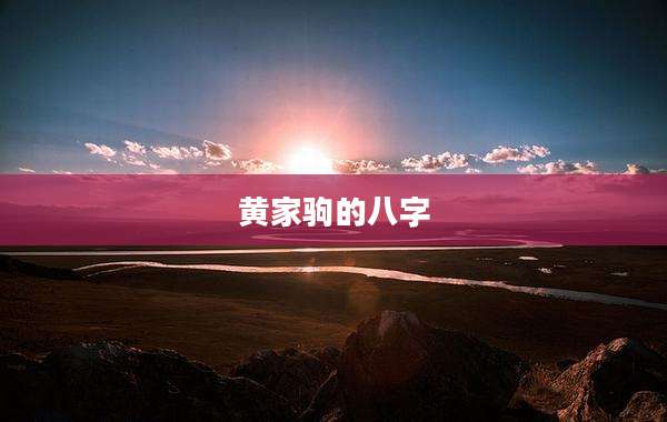 黄家驹的八字