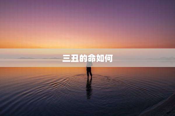 三丑的命如何