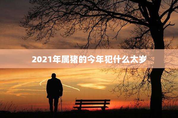 2021年属猪的今年犯什么太岁