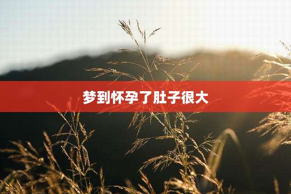 梦到怀孕了肚子很大