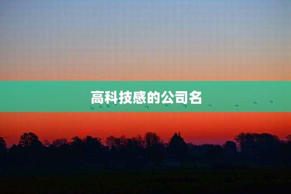 高科技感的公司名