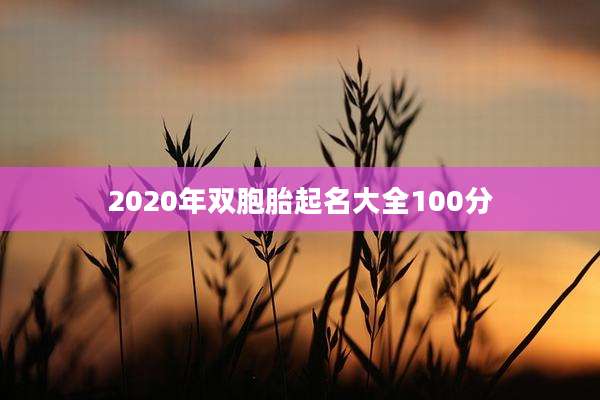 2020年双胞胎起名大全100分