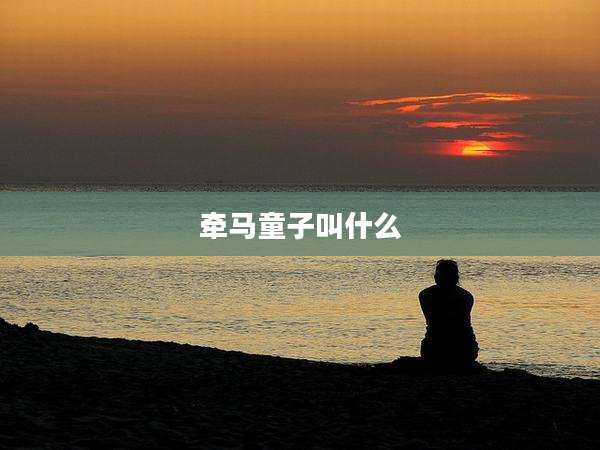 牵马童子叫什么