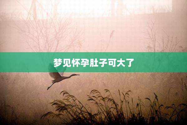 梦见怀孕肚子可大了