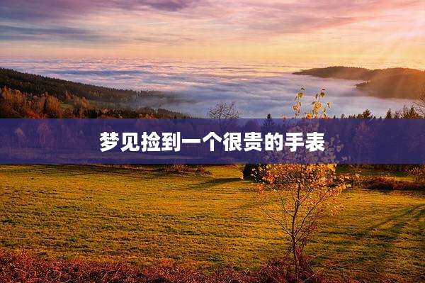 梦见捡到一个很贵的手表