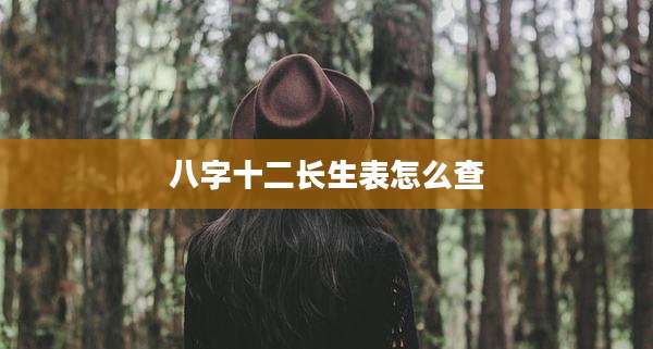 八字十二长生表怎么查