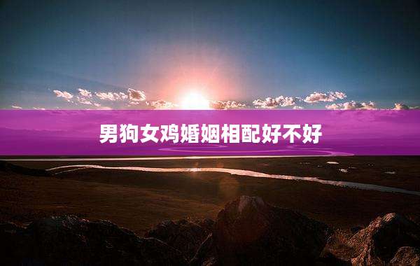 男狗女鸡婚姻相配好不好