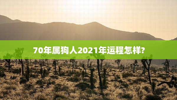 70年属狗人2021年运程怎样?