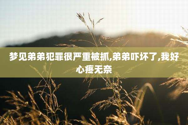 梦见弟弟犯罪很严重被抓,弟弟吓坏了,我好心疼无奈