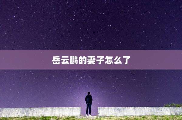 岳云鹏的妻子怎么了