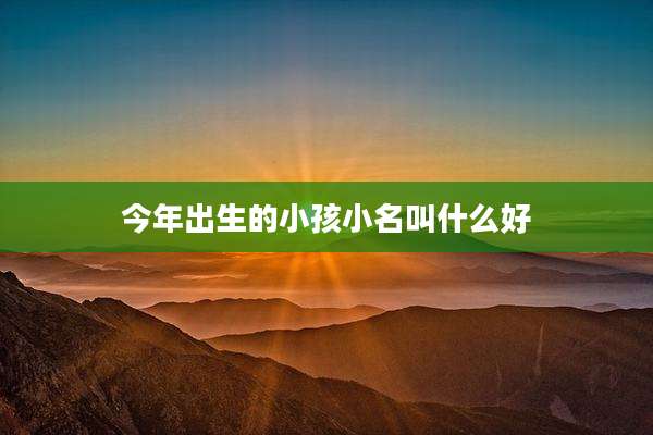 今年出生的小孩小名叫什么好