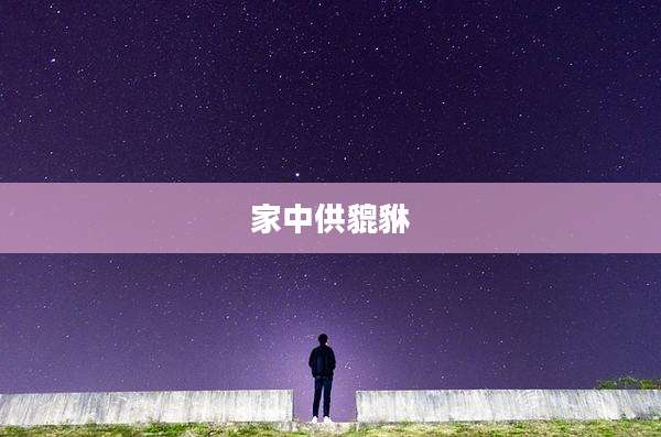 家中供貔貅