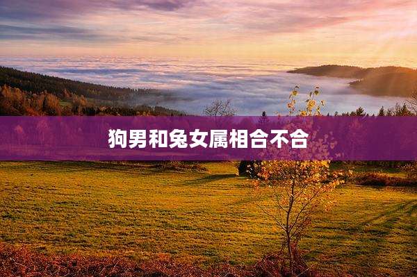 狗男和兔女属相合不合