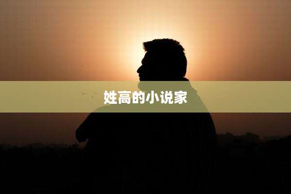 姓高的小说家