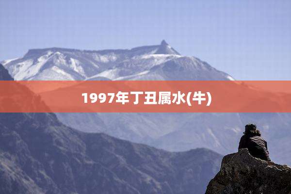 1997年丁丑属水(牛)