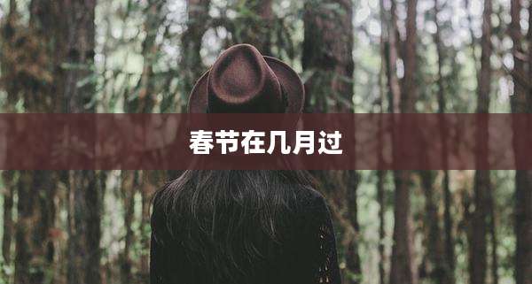 春节在几月过