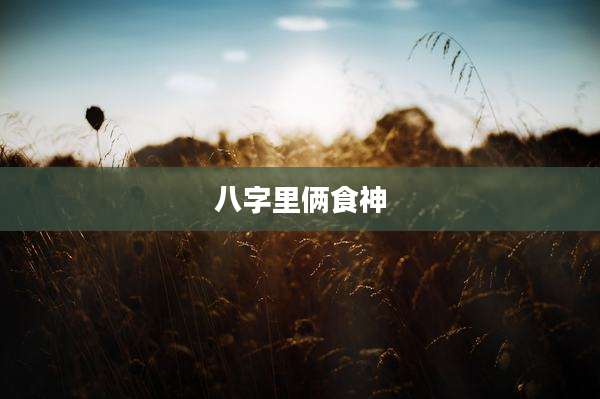 八字里俩食神