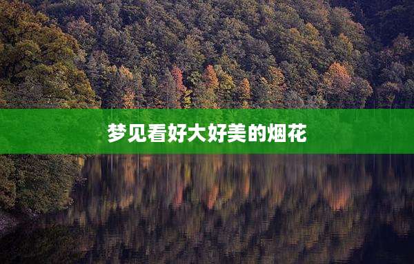 梦见看好大好美的烟花