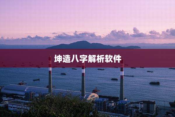 坤造八字解析软件