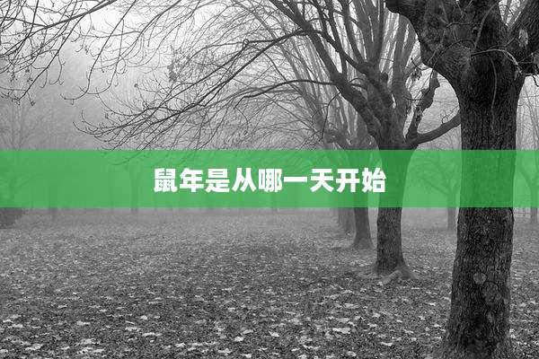鼠年是从哪一天开始