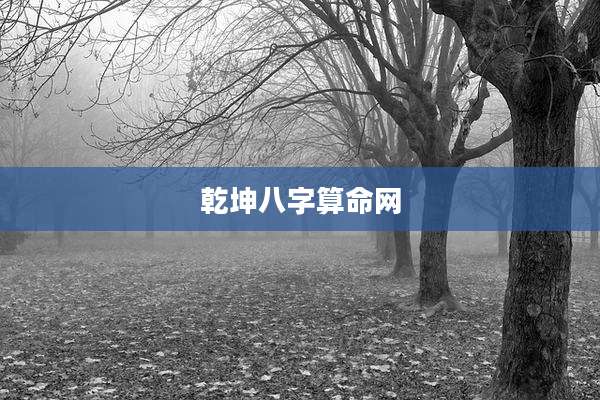 乾坤八字算命网