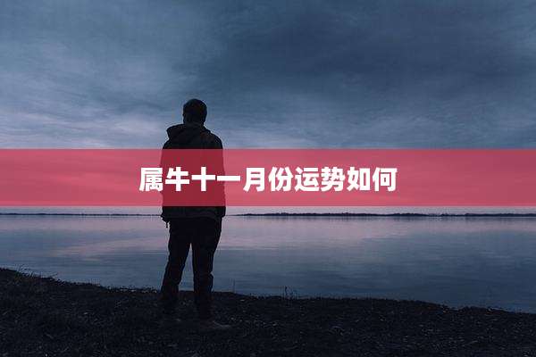 属牛十一月份运势如何
