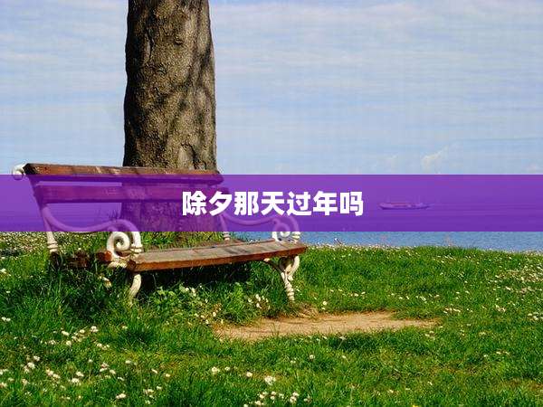 除夕那天过年吗
