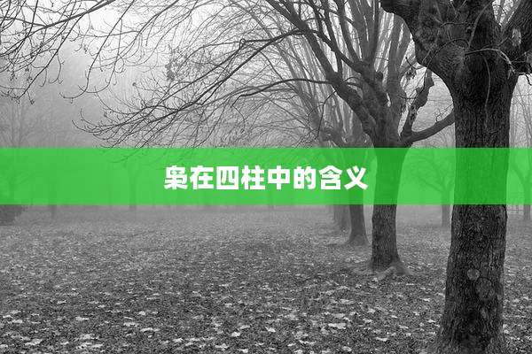 枭在四柱中的含义