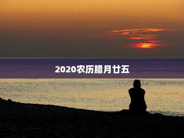 2020农历腊月廿五