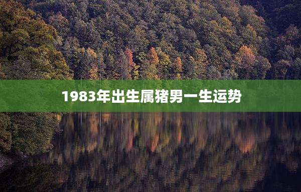 1983年出生属猪男一生运势