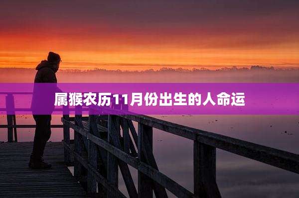 属猴农历11月份出生的人命运