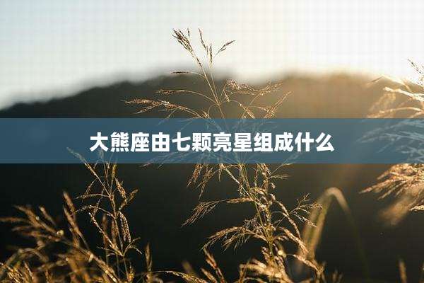 大熊座由七颗亮星组成什么