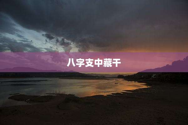 八字支中藏干