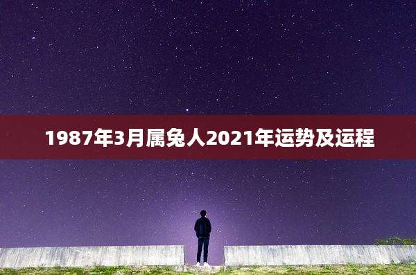 1987年3月属兔人2021年运势及运程
