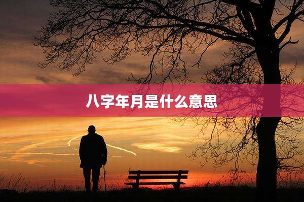 八字年月是什么意思