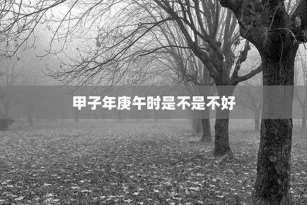 甲子年庚午时是不是不好