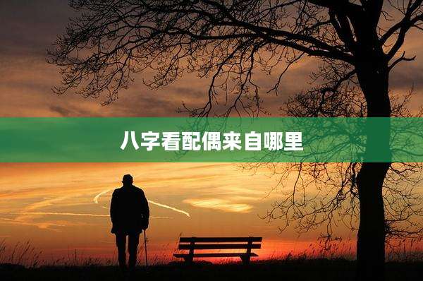 八字看配偶来自哪里