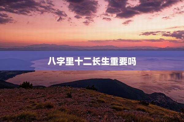 八字里十二长生重要吗