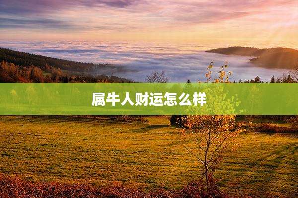 属牛人财运怎么样