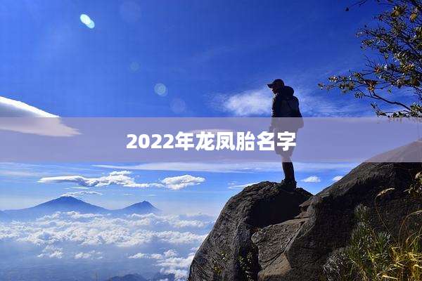 2022年龙凤胎名字
