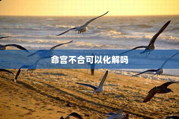 命宫不合可以化解吗
