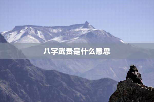 八字武贵是什么意思