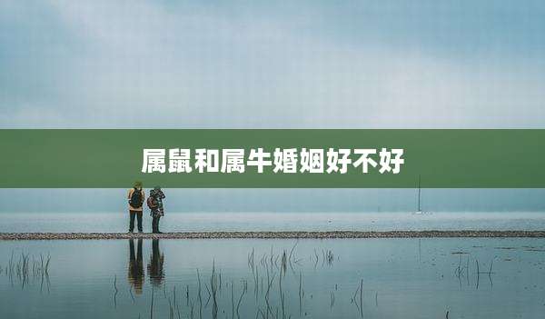 属鼠和属牛婚姻好不好