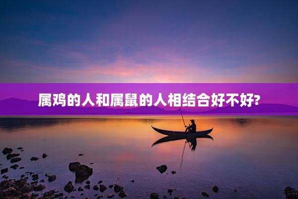 属鸡的人和属鼠的人相结合好不好?