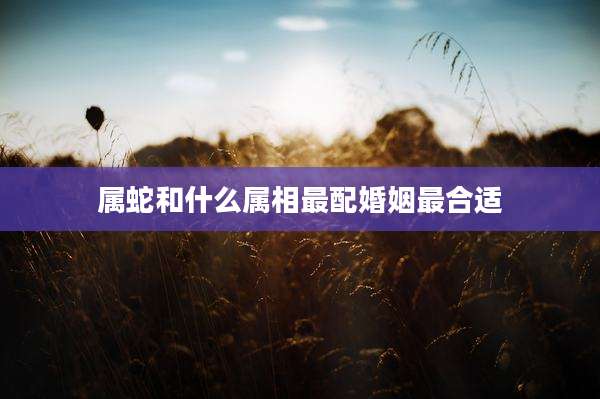 属蛇和什么属相最配婚姻最合适