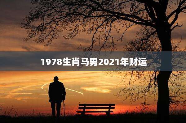 1978生肖马男2021年财运