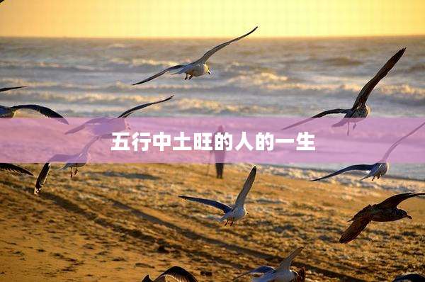 五行中土旺的人的一生