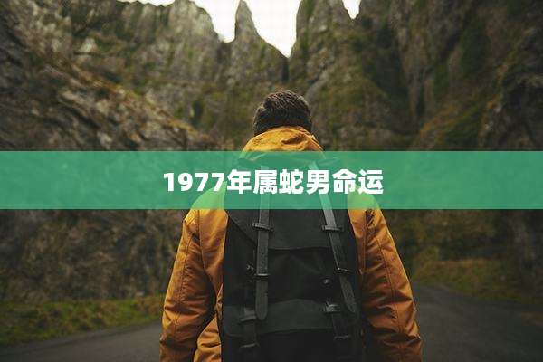 1977年属蛇男命运