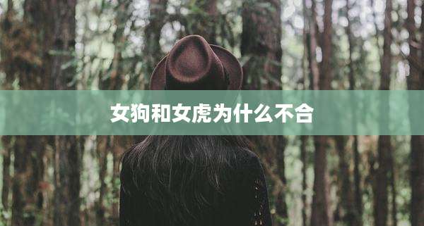 女狗和女虎为什么不合